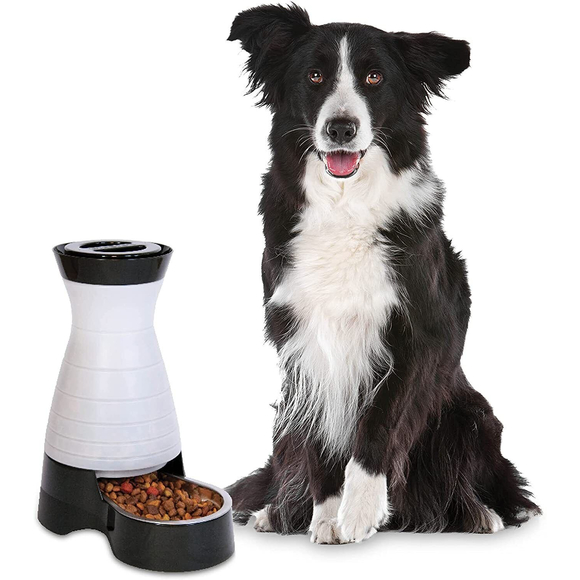 PetSafe Healthy Pet Food Station or Water Station Medium - Picture 1 of 5